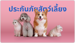 ศรีกรุงโบรคเกอร์